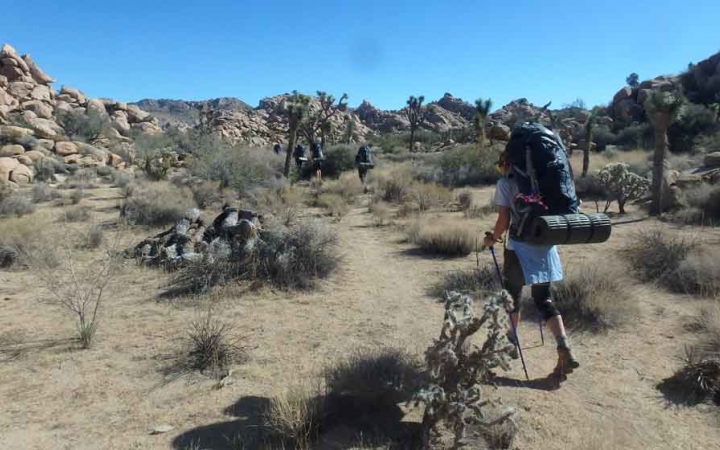 a person carrying a person and using trekking poles hikes in joshua tree national park on an outward bound trip